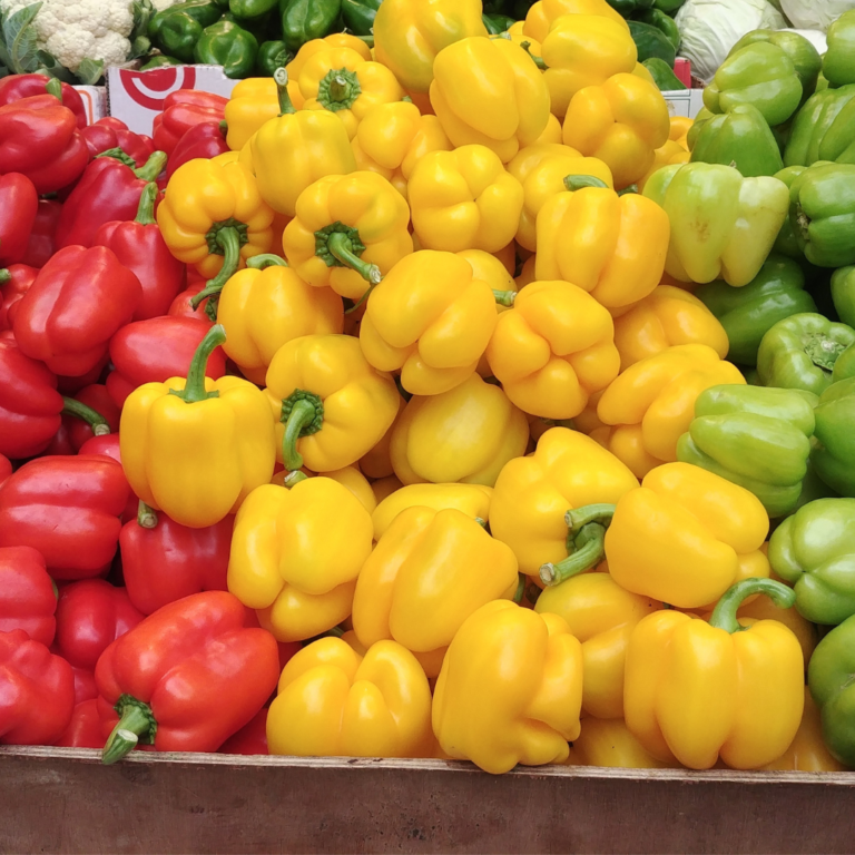 Color Your Brain Healthy – Peppers Edition